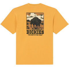 Dickies T Shirt Darrtown Clothing Dickies T Shirt Darrtown Clothing