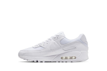 Un paio di Nike Air Max 90 Footwear Un paio di Nike Air Max 90 Footwear