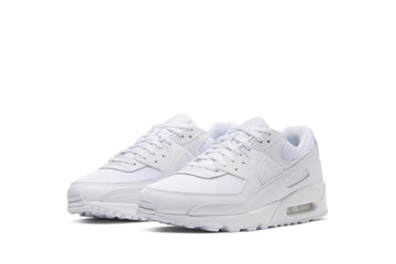 Un paio di Nike Air Max 90 Footwear Un paio di Nike Air Max 90 Footwear