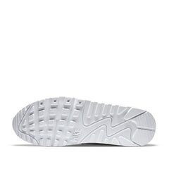 Un paio di Nike Air Max 90 Ltr Footwear