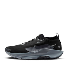 Nike Pegasus Trail 5 Gore-Tex Sport