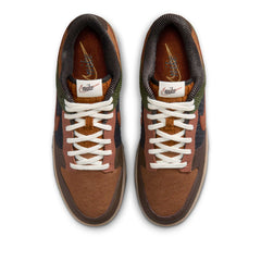 Un paio di Nike Dunk Low Retro Premium Footwear