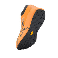 Arcteryx Sylan 2 Men missing