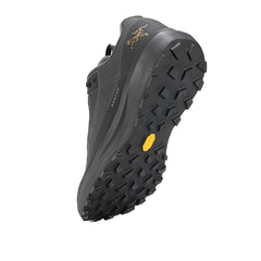 Arcteryx Norvan  Ld 4 Gtx missing