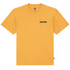 Dickies T Shirt Darrtown Clothing